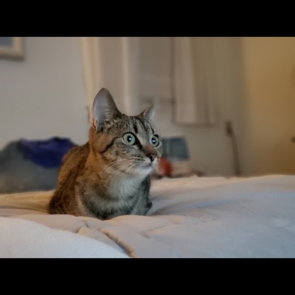 Alex & Ali - Picture 5 of 9